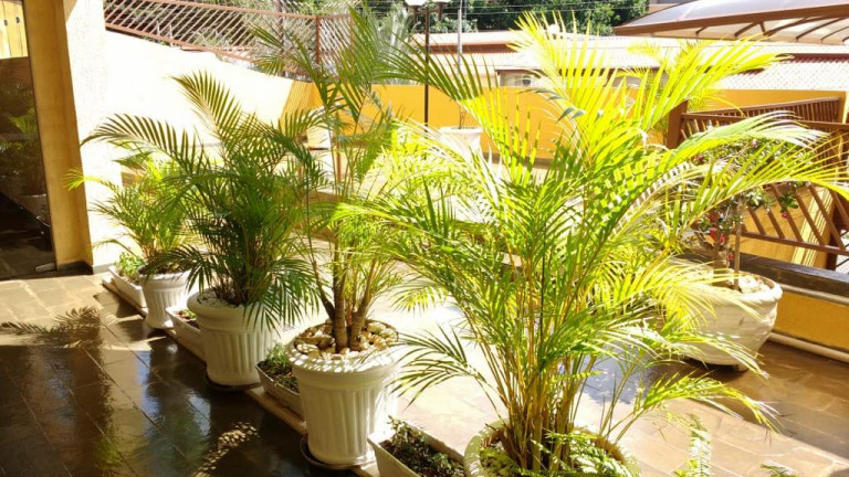 Imagem Apartamento com 2 Quartos à Venda, 78 m² em Vila Ferreira Jorge - Campinas