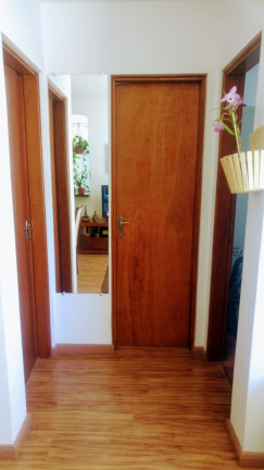 Imagem Apartamento com 2 Quartos à Venda, 53 m² em Vila Santa Teresinha - São Paulo Imagem Apartamento com 2 Quartos à Venda, 53 m² em Vila Santa Teresinha - São Paulo