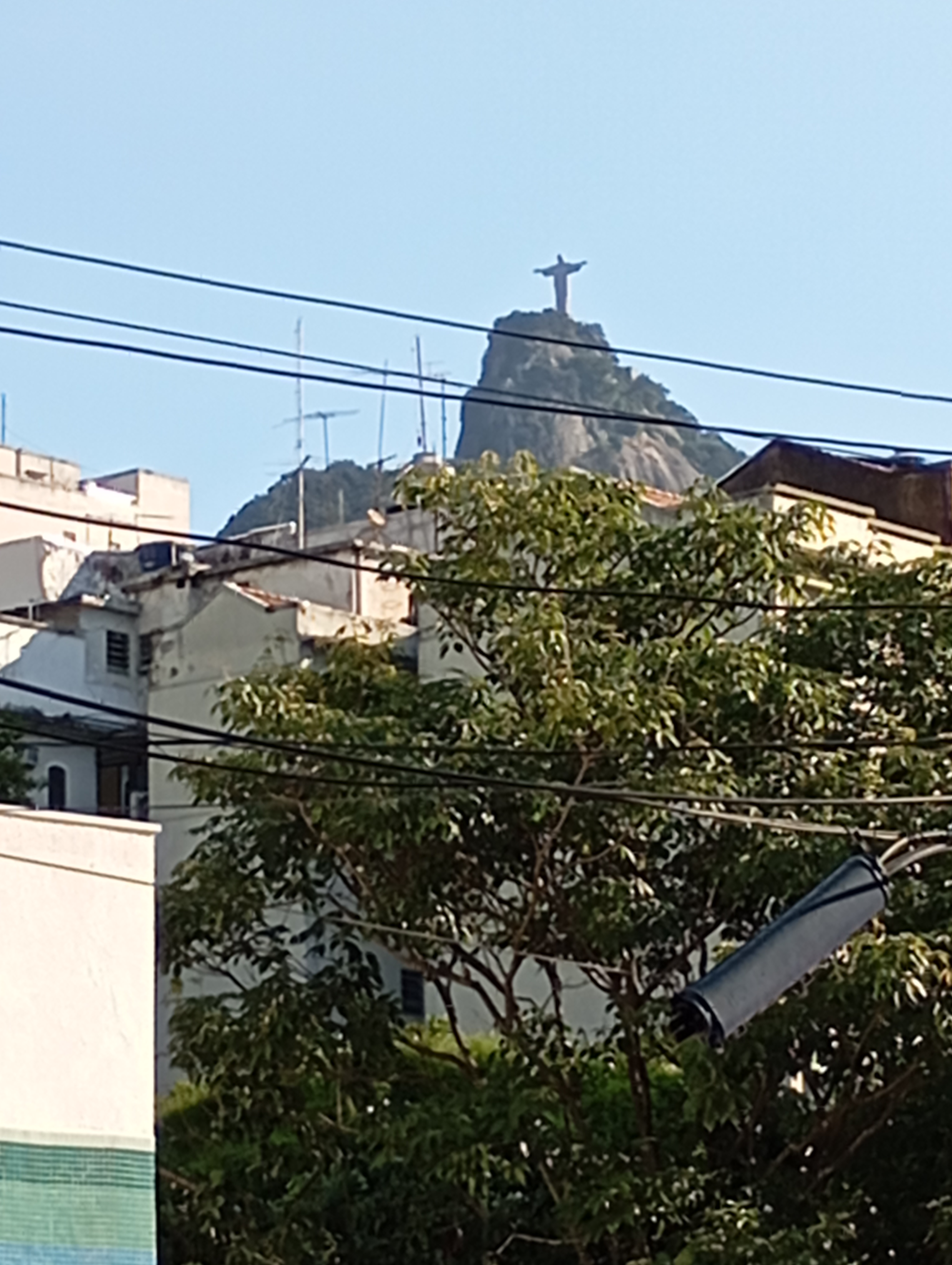Imagem Apartamento com 2 Quartos à Venda, 70 m²em Laranjeiras - Rio de Janeiro