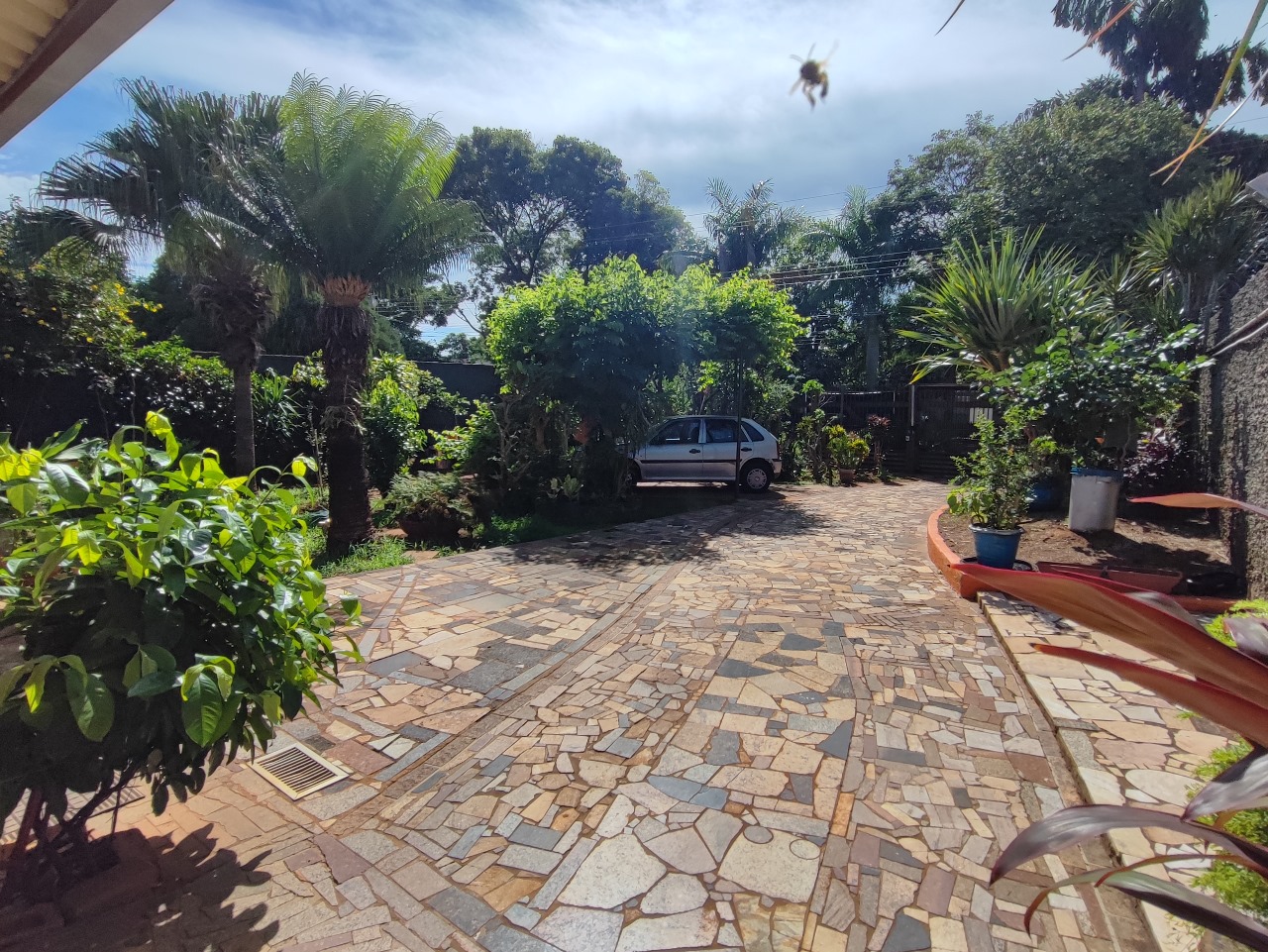 Imagem Casa com 2 Quartos à Venda, 222 m² em Vila Taveirópolis - Campo Grande Imagem Casa com 2 Quartos à Venda, 222 m² em Vila Taveirópolis - Campo Grande