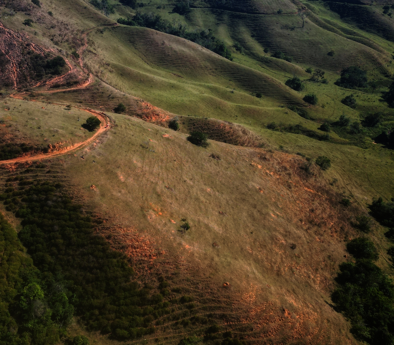 Imagem Fazenda à Venda, 459.000 HA em Área Rural de Valença - Valença