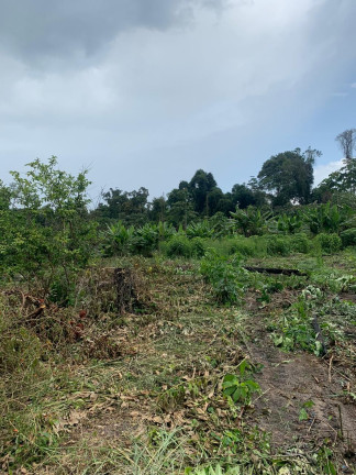 Imagem Fazenda à Venda, 837 HA em Área Rural de Santarém - Santarém Imagem Fazenda à Venda, 837 HA em Área Rural de Santarém - Santarém