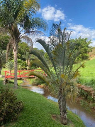 Imagem Chácara com 5 Quartos à Venda, 9.000 m² em Sebolas - Paraíba do Sul