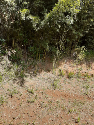 Imagem Imóvel Comercial à Venda, 100 m² em Pimenteiras - Teresópolis Imagem Imóvel Comercial à Venda, 100 m² em Pimenteiras - Teresópolis
