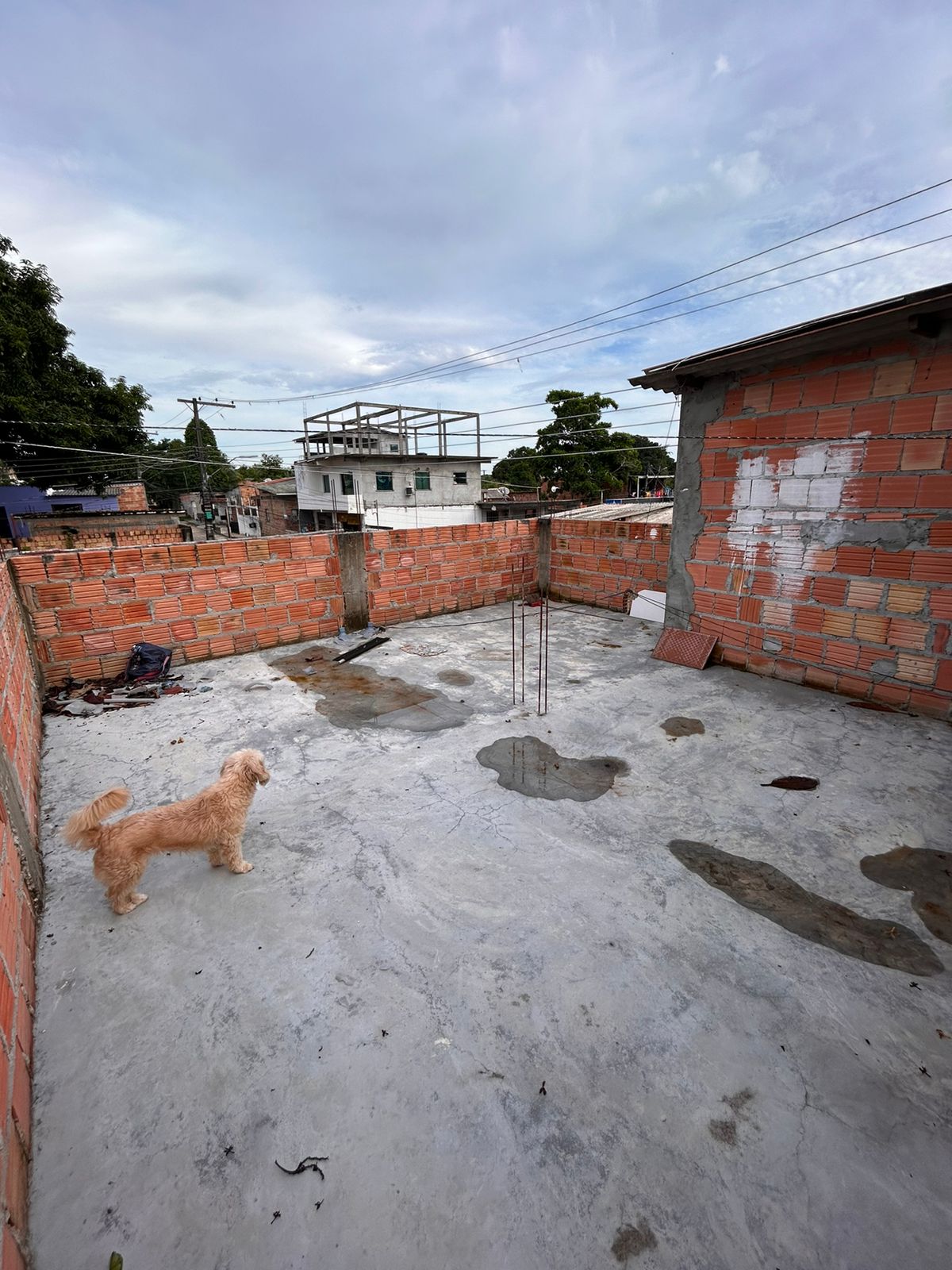 Imagem Casa com 2 Quartos à Venda, 100 m²em Santa Etelvina - Manaus Imagem Casa com 2 Quartos à Venda, 100 m²em Santa Etelvina - Manaus