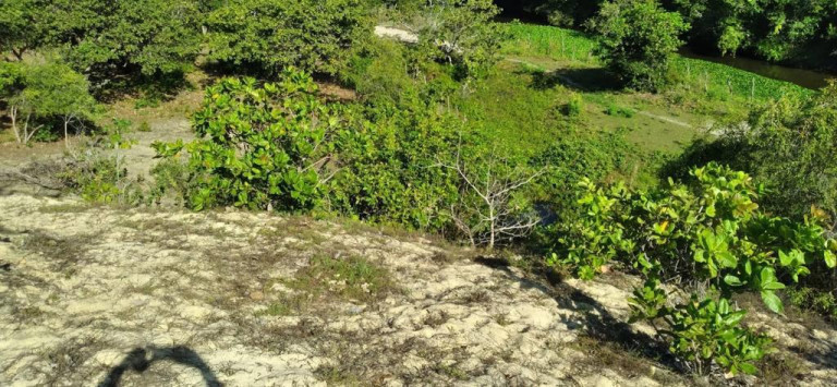 Imagem Terreno à Venda, 5.658 m²em Pajuçara - Natal