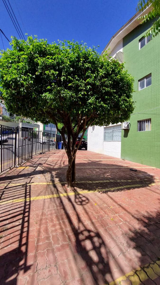 Imagem Apartamento com 2 Quartos à Venda, 77 m²em Ondina - Salvador Imagem Apartamento com 2 Quartos à Venda, 77 m²em Ondina - Salvador