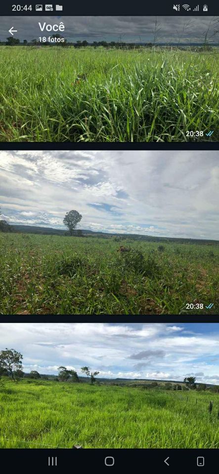 Imagem Fazenda à Venda, 1047 HA em ZONA RURAL - Guiratinga Imagem Fazenda à Venda, 1047 HA em ZONA RURAL - Guiratinga