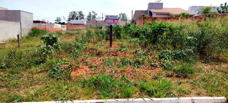Imagem Terreno à Venda, 200 m²em pioneiros - Espigão D'Oeste