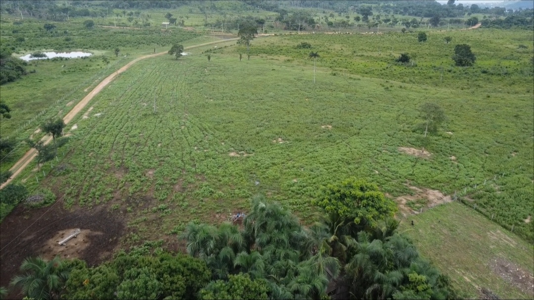 Imagem Fazenda à Venda, 90 m²em Centro - São Félix do Xingu Imagem Fazenda à Venda, 90 m²em Centro - São Félix do Xingu