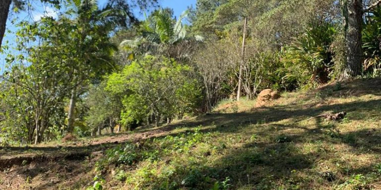 Imagem Chácara com 3 Quartos à Venda, 24.000 m² em Centro - Santa Isabel Imagem Chácara com 3 Quartos à Venda, 24.000 m² em Centro - Santa Isabel
