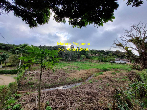 Imagem Terreno à Venda, 10.231 m²em Forquilha - Guaramiranga