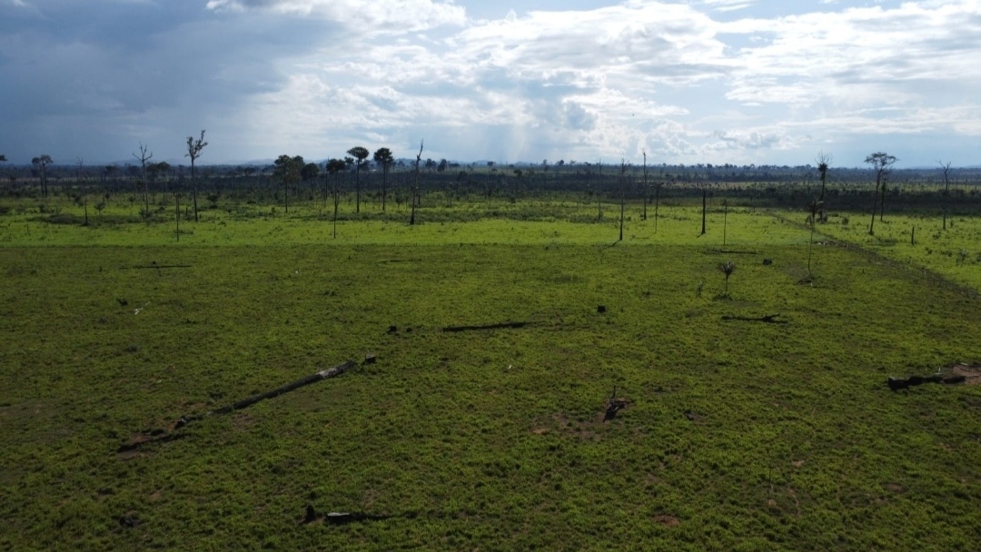 Imagem Fazenda à Venda, 430 m² em Centro  - São Félix do Xingu
