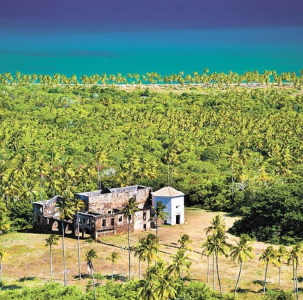 Imagem Casa de Condomínio com 2 Quartos à Venda,  em Praia do Forte - Mata de São João