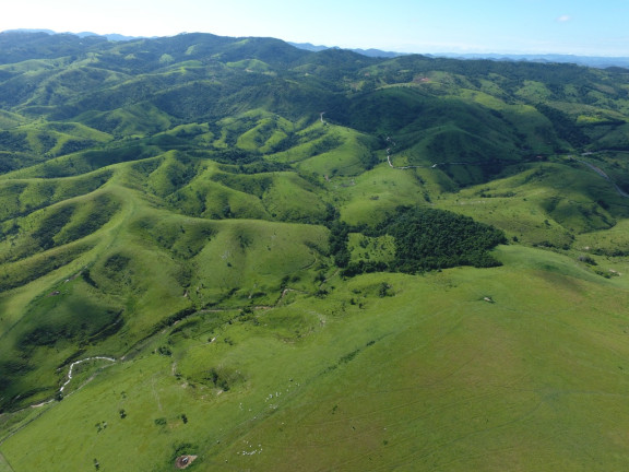 Imagem Fazenda à Venda, 400.529 HA em Parque Residencial Maria Elmira - Caçapava