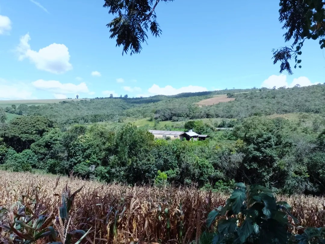 Imagem Fazenda à Venda, 113 Alq SPem Zona Rural - Guapé Imagem Fazenda à Venda, 113 Alq SPem Zona Rural - Guapé