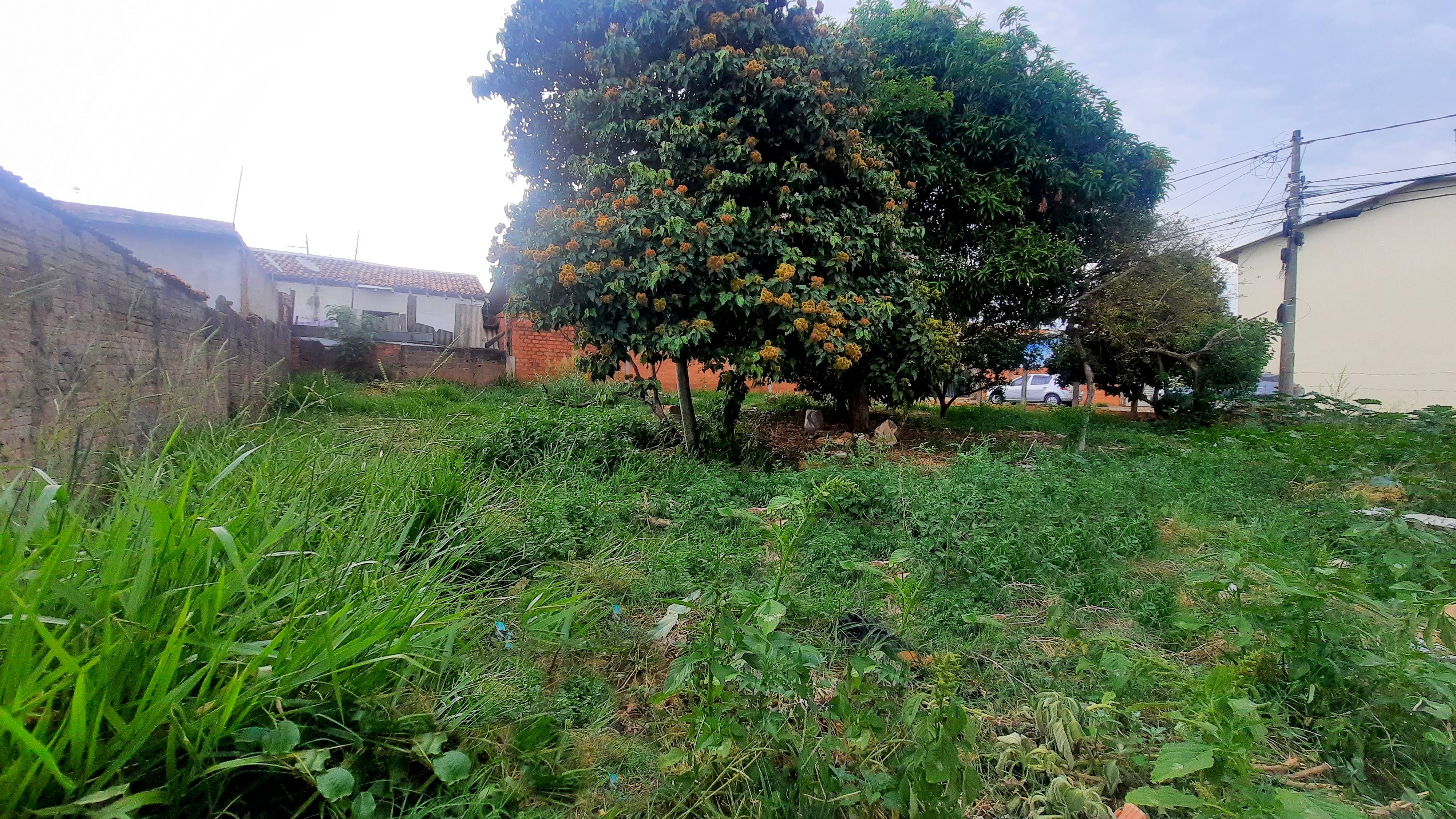 Imagem Terreno à Venda, 400 m²em Parque Marajoara - Botucatu