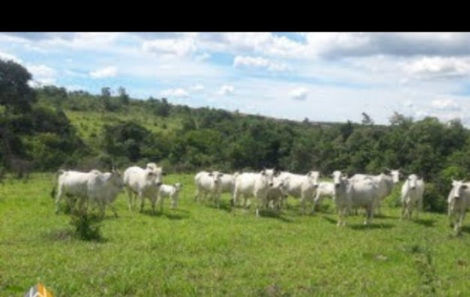 Imagem Terreno à Venda, em Centro - Santo Antônio do Descoberto