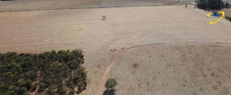 Imagem Fazenda à Venda, 297 HAem Paranoá - Brasília