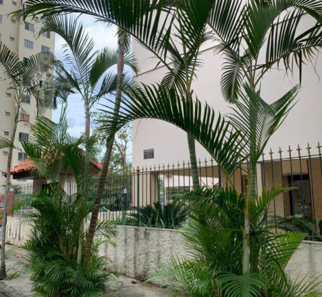 Imagem Apartamento com 2 Quartos à Venda, 56 m² em Jacarepaguá - Rio de Janeiro Imagem Apartamento com 2 Quartos à Venda, 56 m² em Jacarepaguá - Rio de Janeiro