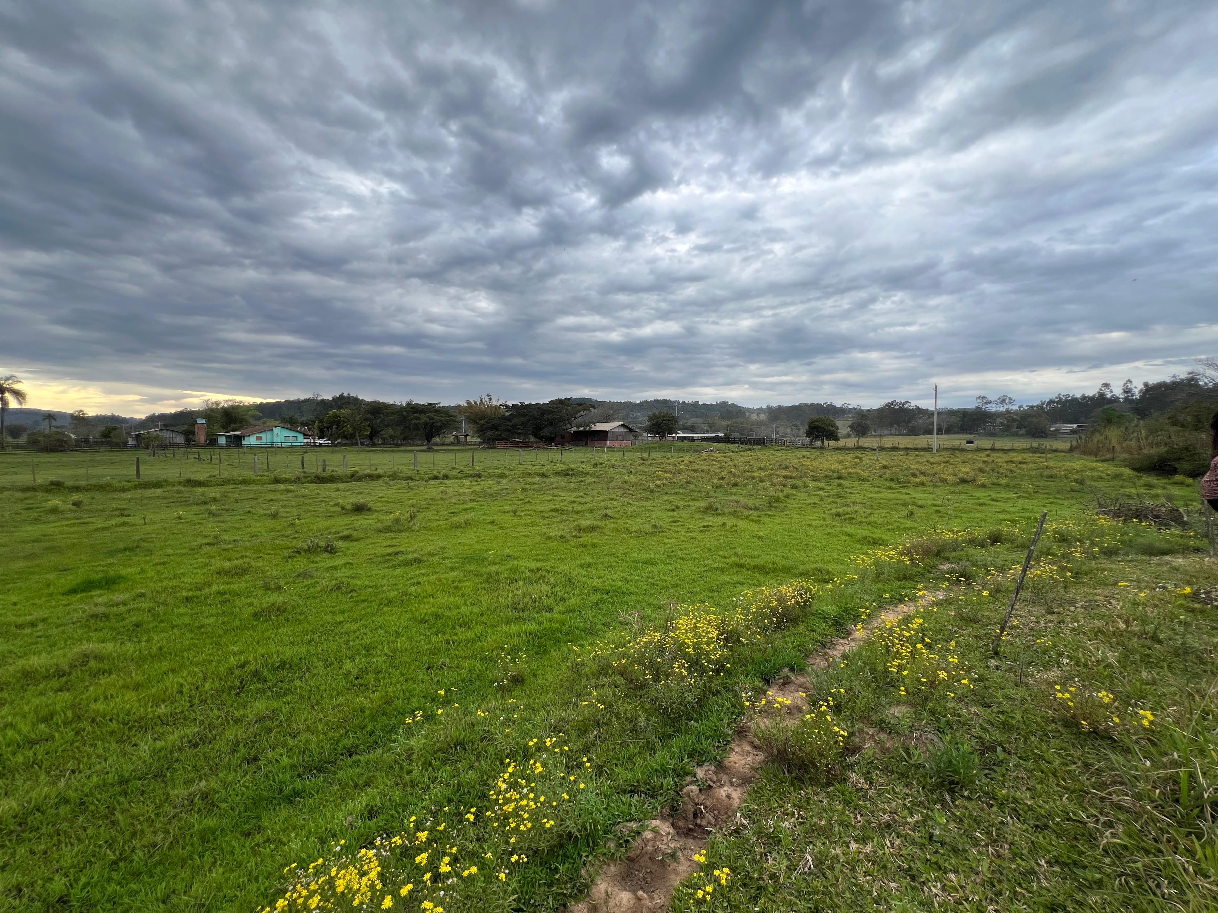Imagem Chácara com 2 Quartos à Venda, 14.000 m² em Lomba Grande - Novo Hamburgo
