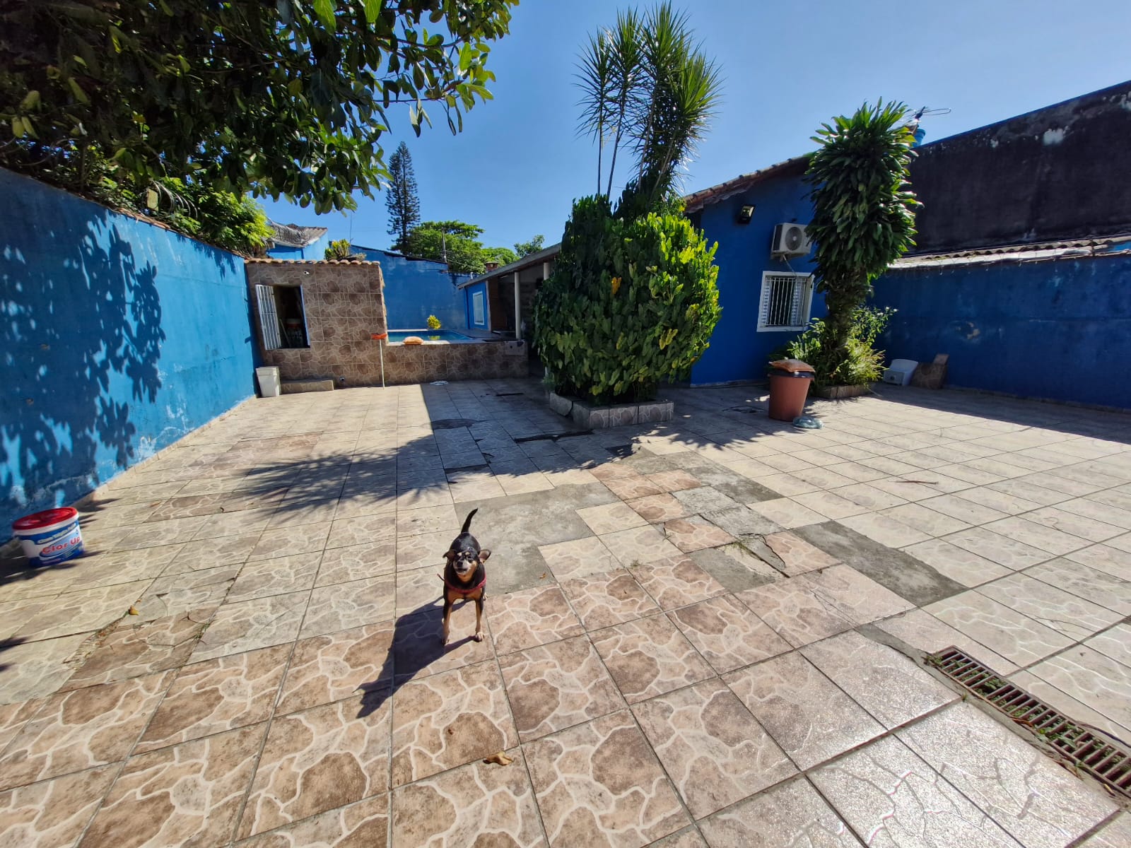 Imagem Casa com 2 Quartos à Venda, 80 m² em Balneário Flórida Mirim - Mongaguá