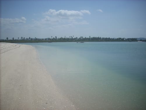 Imagem Imóvel com 10 Quartos à Venda, 1.200.000 hectare em Salinas - Salinas da Margarida Imagem Imóvel com 10 Quartos à Venda, 1.200.000 hectare em Salinas - Salinas da Margarida