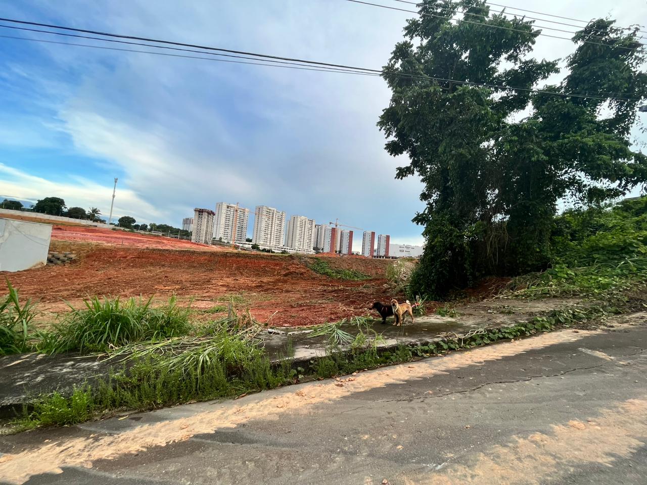 Imóvel