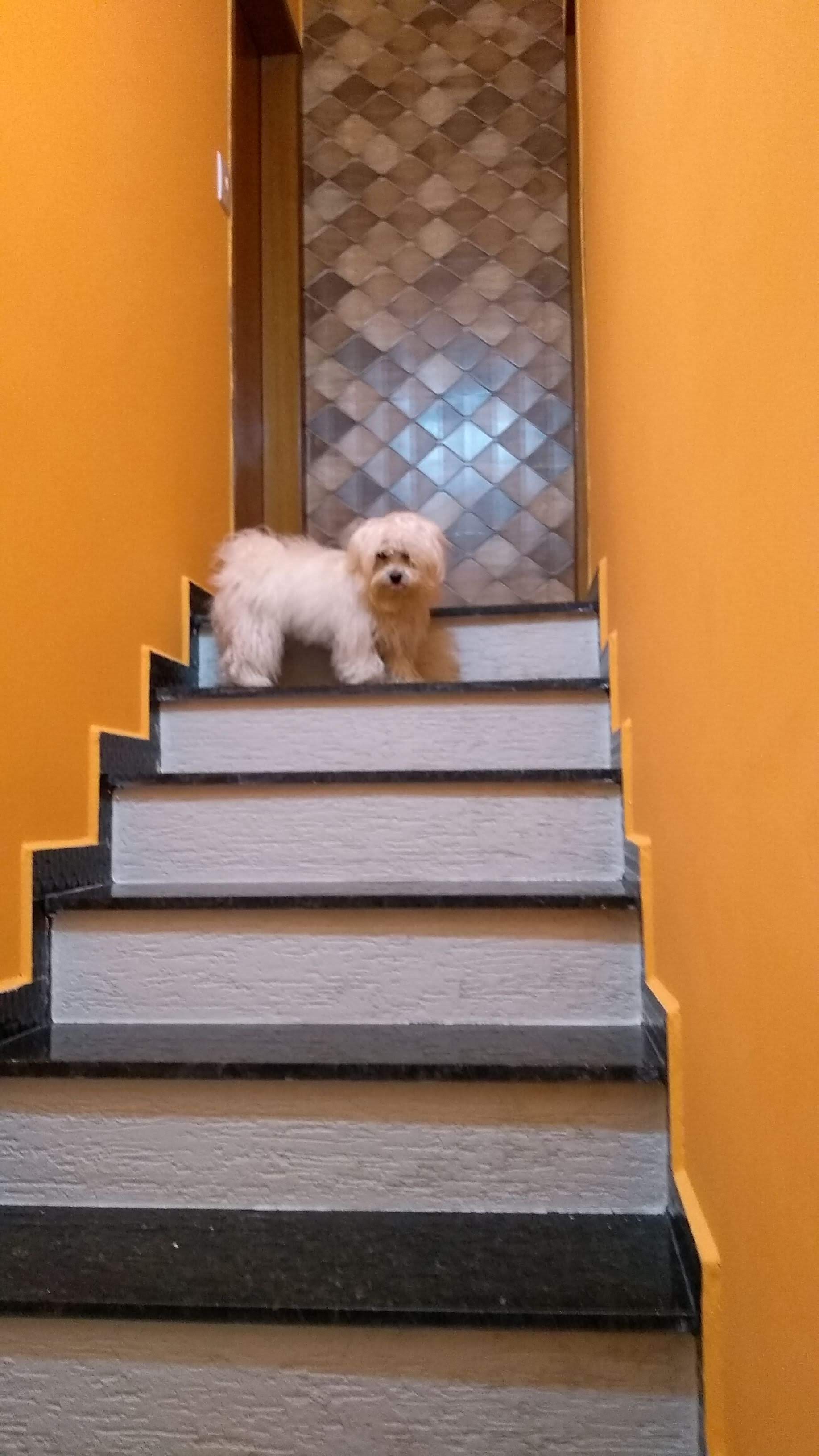 Imagem Casa de Condomínio com 2 Quartos à Venda, 70 m²em Vila Melchizedec - Mogi das Cruzes