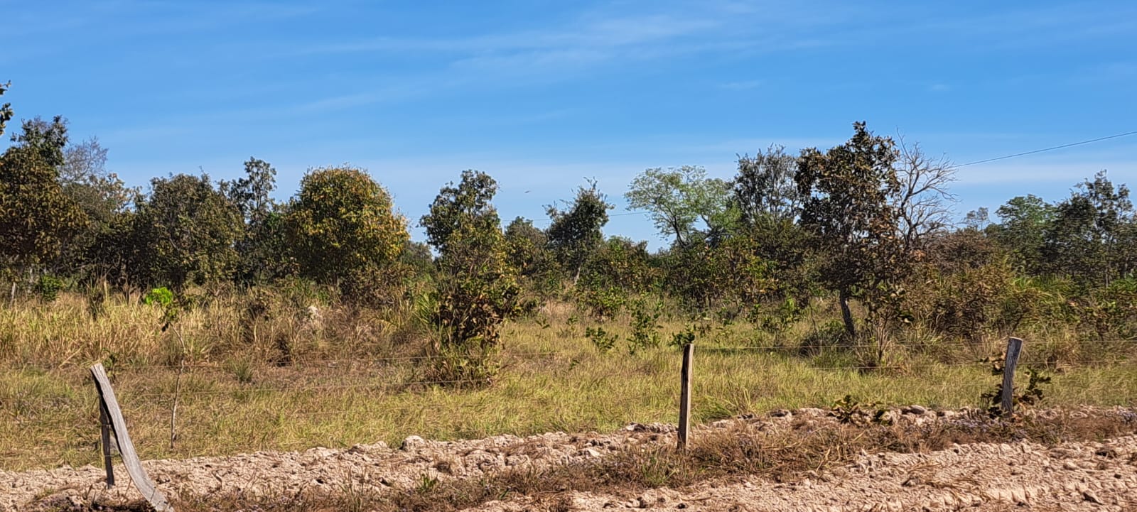 Imagem Fazenda à Venda, 25 Alq GOem Zona Rural - Araguaiana