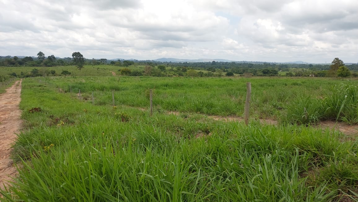 Imagem Fazenda à Venda, 9 Alq MGem Nova Marabá - Marabá