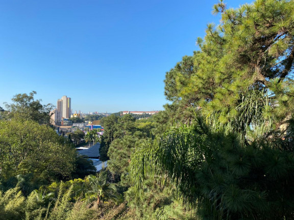 Imagem Apartamento com 2 Quartos à Venda, 50 m² em Demarchi - São Bernardo Do Campo Imagem Apartamento com 2 Quartos à Venda, 50 m² em Demarchi - São Bernardo Do Campo