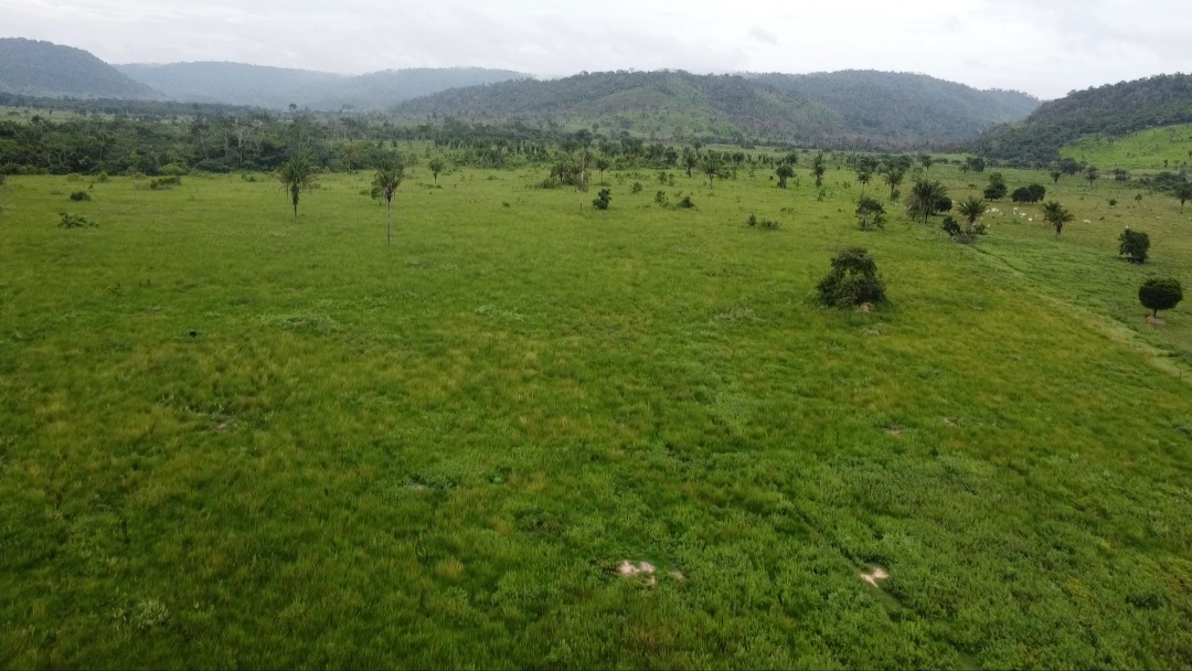 Imagem Fazenda à Venda, 90 m²em Centro - São Félix do Xingu Imagem Fazenda à Venda, 90 m²em Centro - São Félix do Xingu