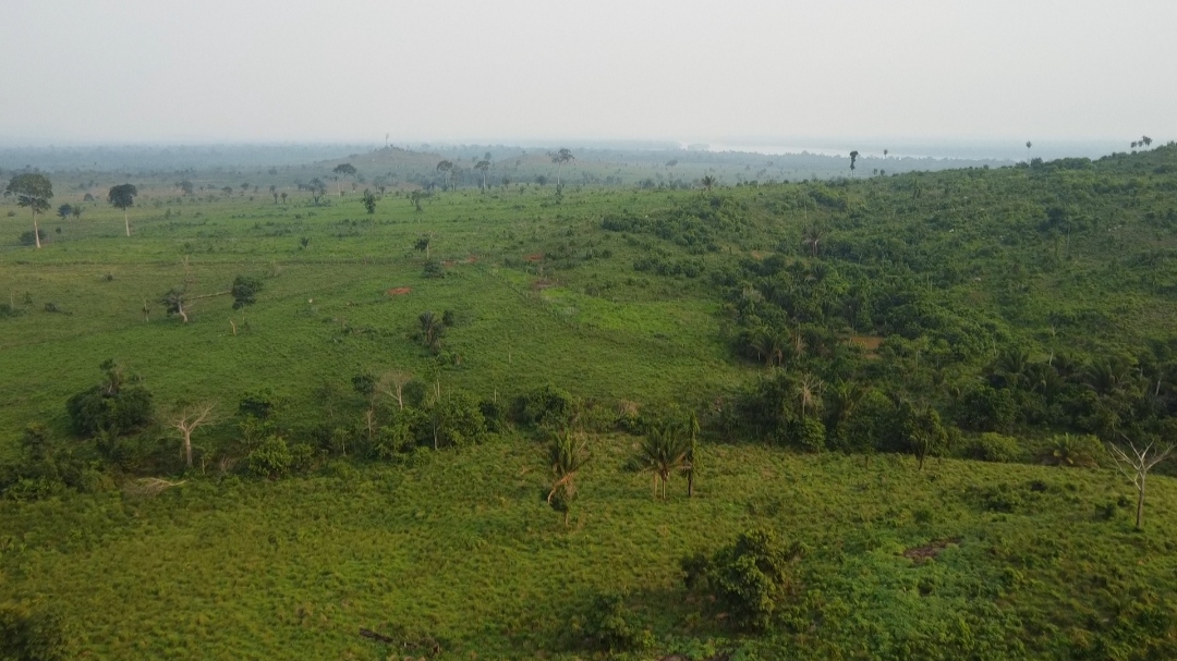 Imagem Fazenda à Venda, 1 m²em Centro - São Félix do Xingu Imagem Fazenda à Venda, 1 m²em Centro - São Félix do Xingu