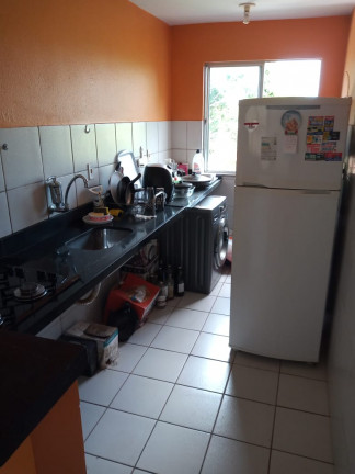 Imagem Apartamento com 2 Quartos para Alugar, 54 m² em Turu - São Luís Imagem Apartamento com 2 Quartos para Alugar, 54 m² em Turu - São Luís