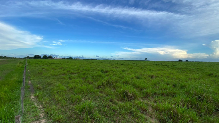 Imagem Fazenda à Venda, 455 HA em zona Rural - Santarém Novo Imagem Fazenda à Venda, 455 HA em zona Rural - Santarém Novo