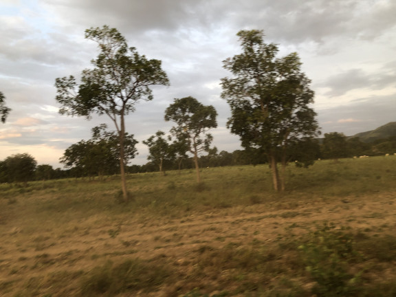 Imagem Fazenda à Venda, 818m² em Zona Rural - Flores de Goiás Imagem Fazenda à Venda, 818m² em Zona Rural - Flores de Goiás