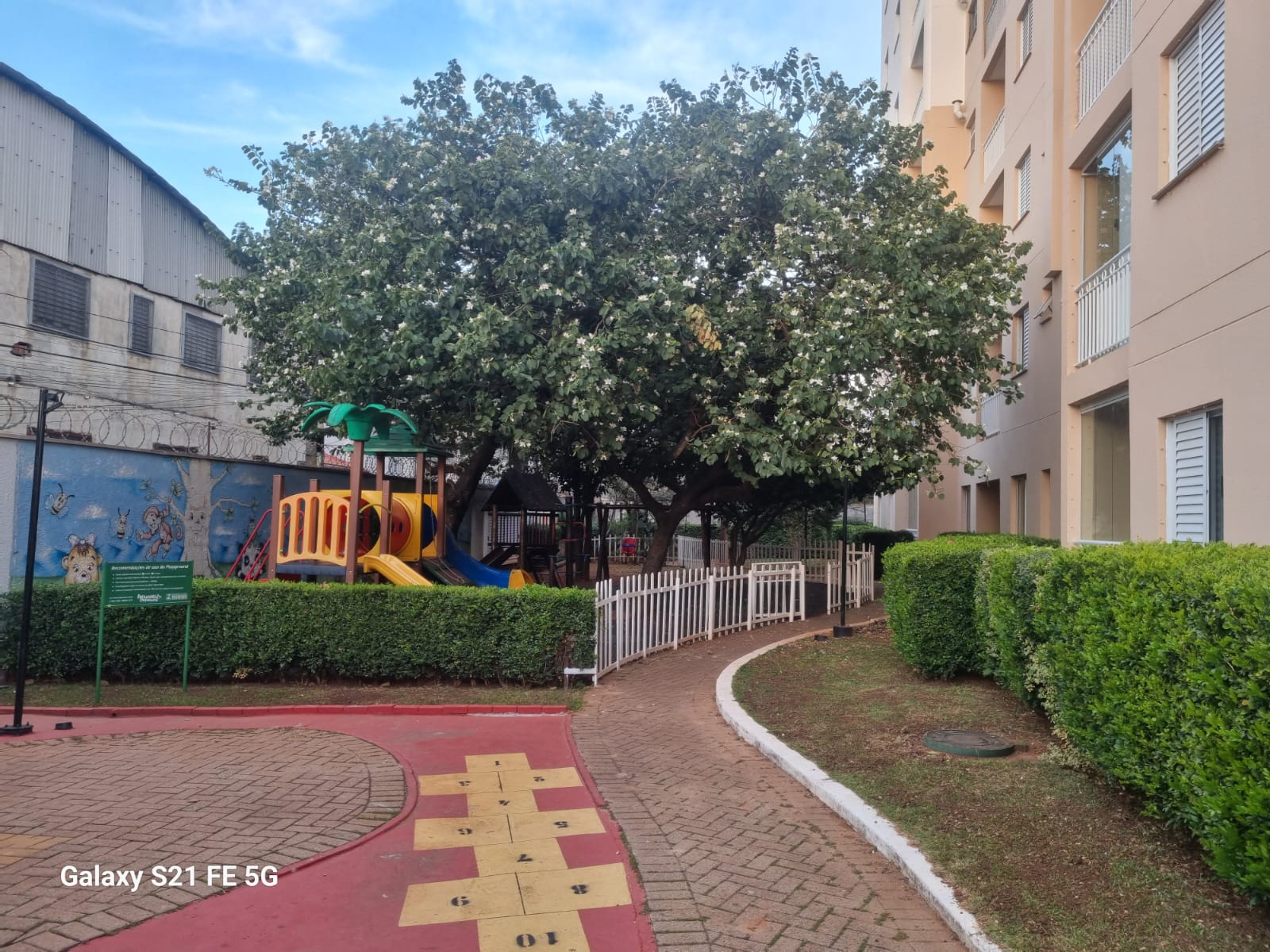 Imagem Apartamento com 2 Quartos à Venda, 60 m² em Limão - São Paulo Imagem Apartamento com 2 Quartos à Venda, 60 m² em Limão - São Paulo