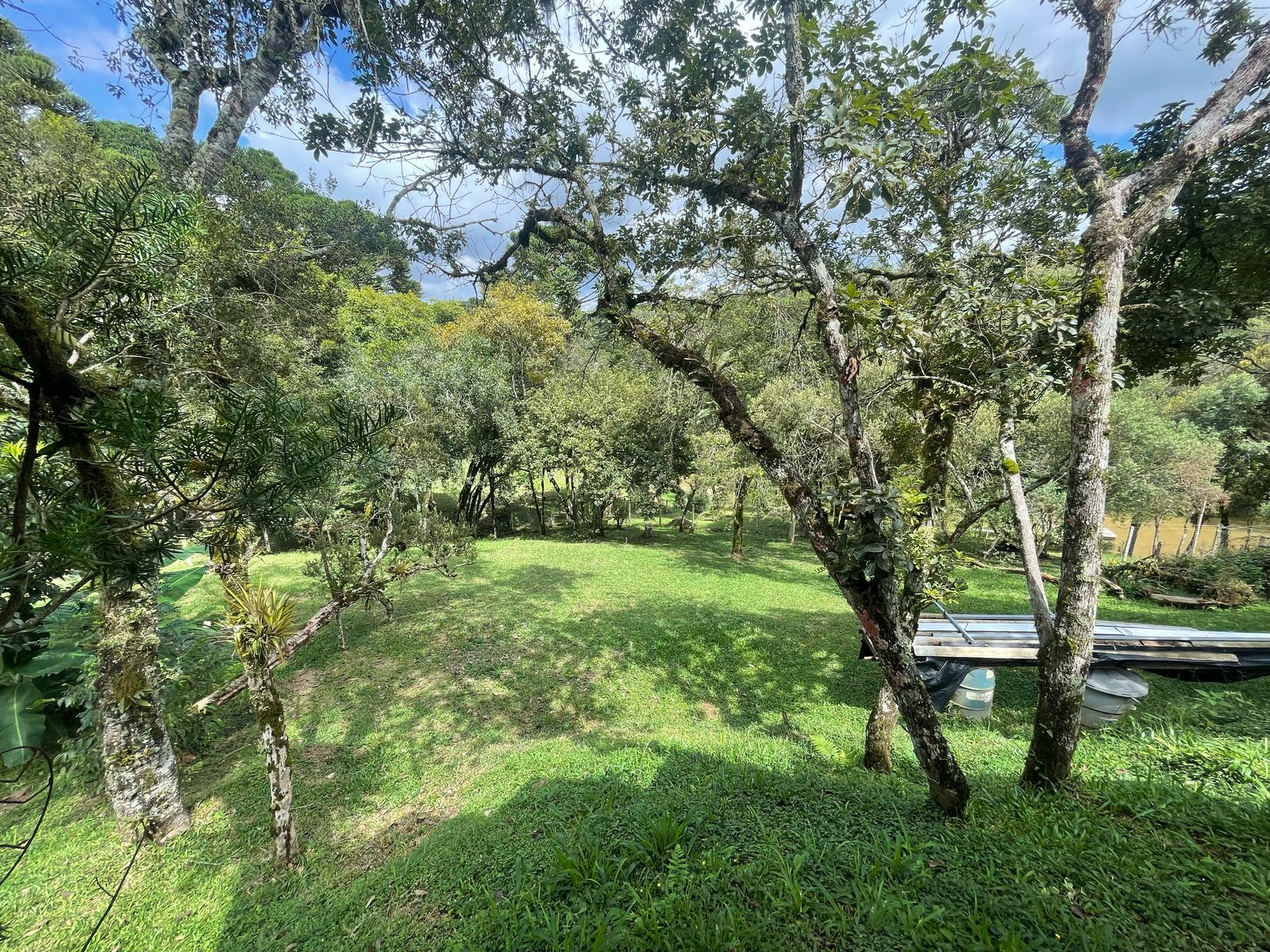 Imagem Chácara com 3 Quartos à Venda, 6.800 m² em Salgadinho - Campo Largo