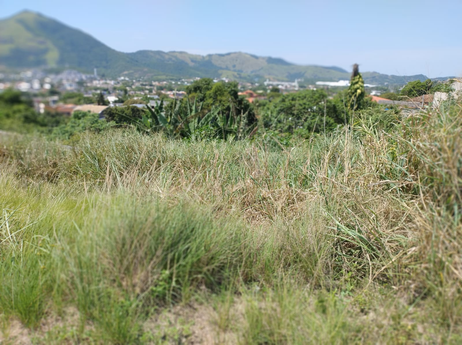 Imagem Terreno em Condomínio à Venda, 209 m²em Campo Grande - Rio de Janeiro Imagem Terreno em Condomínio à Venda, 209 m²em Campo Grande - Rio de Janeiro