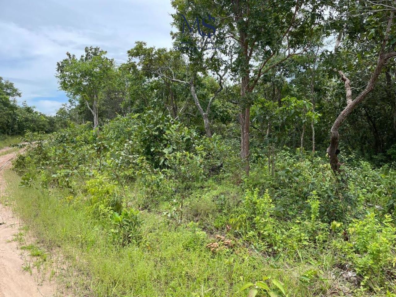 Imagem Fazenda à Venda, 427 m²em rural - São João D'Aliança