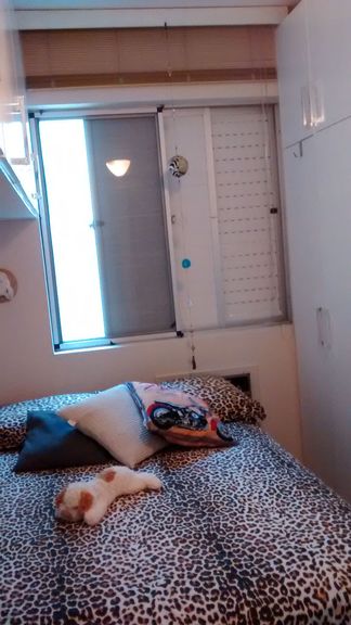 Imagem Apartamento com 2 Quartos à Venda, 56 m² em Capoeiras - Florianópolis Imagem Apartamento com 2 Quartos à Venda, 56 m² em Capoeiras - Florianópolis