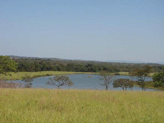 Imagem Fazenda à Venda,  em zona rural - Engenheiro Navarro