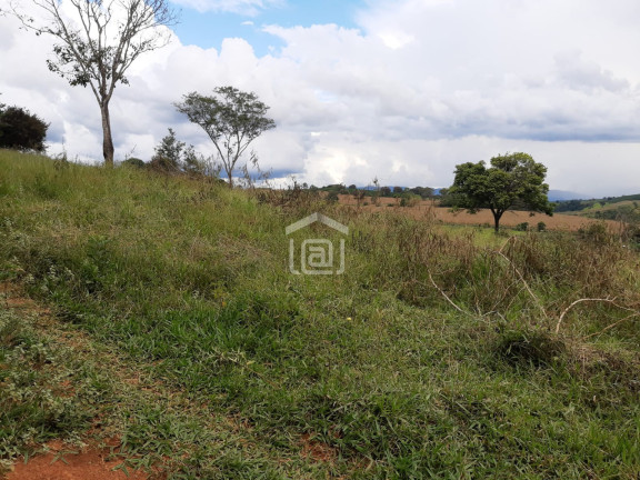 Imagem Imóvel à Venda, 1 m² em Conceição (rural) - Palmeiral Imagem Imóvel à Venda, 1 m² em Conceição (rural) - Palmeiral