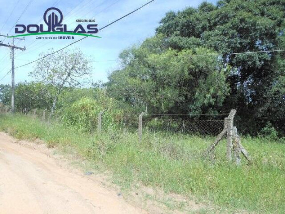 Imagem Imóvel Comercial à Venda, 13 m² em Viamão