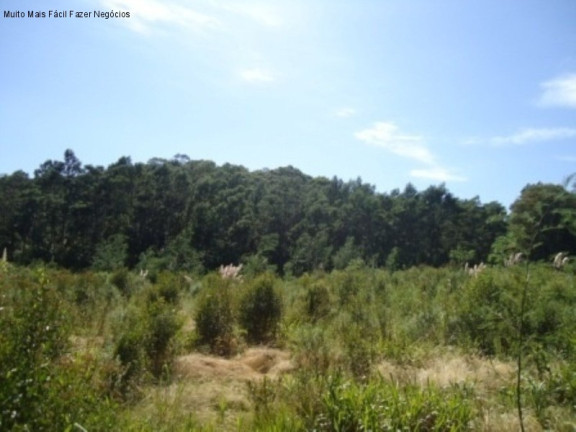 Imagem Terreno à Venda, 7 m² em Linha Imperial - Nova Petrópolis Imagem Terreno à Venda, 7 m² em Linha Imperial - Nova Petrópolis