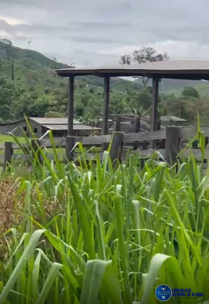 Imagem Fazenda à Venda, 45 m² em Zona Rural - São Félix Do Xingu Imagem Fazenda à Venda, 45 m² em Zona Rural - São Félix Do Xingu