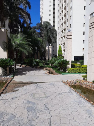 Imagem Apartamento com 2 Quartos à Venda, 65 m² em Morumbi - São Paulo Imagem Apartamento com 2 Quartos à Venda, 65 m² em Morumbi - São Paulo
