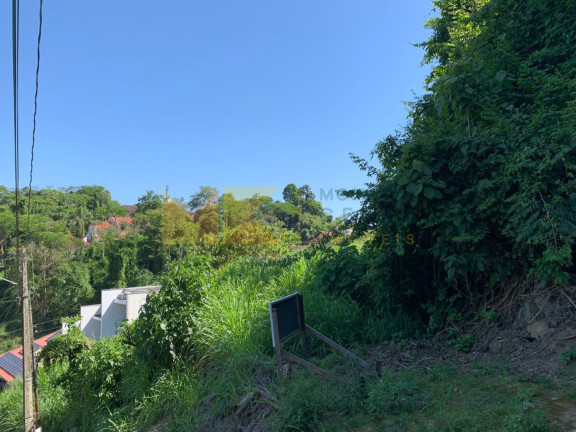 Imagem Imóvel à Venda, 450 m² em Escola Agrícola - Blumenau