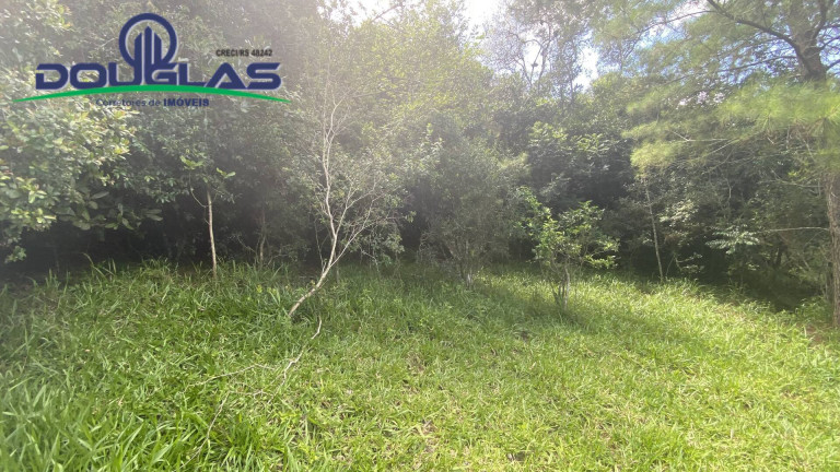 Terreno à Venda, 5.000 m² em Viamão